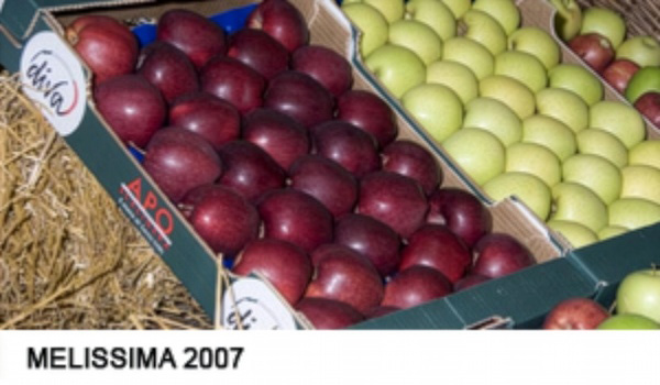 MELISSIMA 2007
